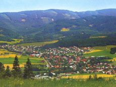 Zašová